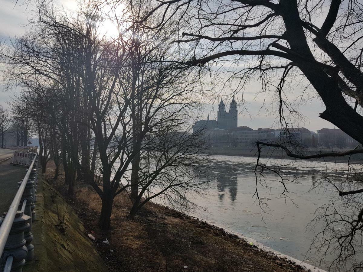Kleines Zuhause Apartment Magdeburg Bagian luar foto